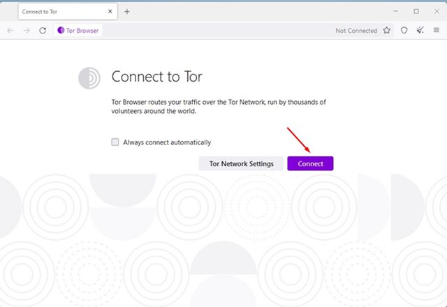 Tor Browser Connection Screen